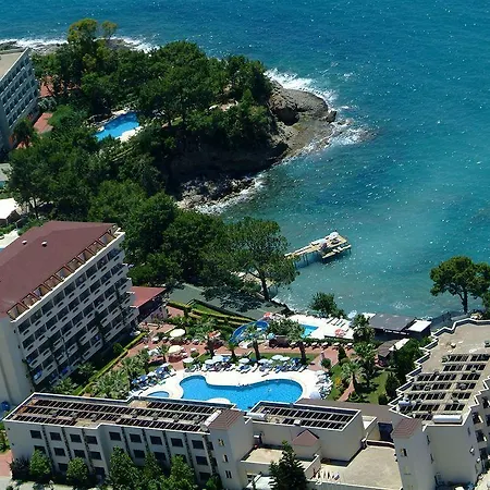 Aska Bayview Okurcalar